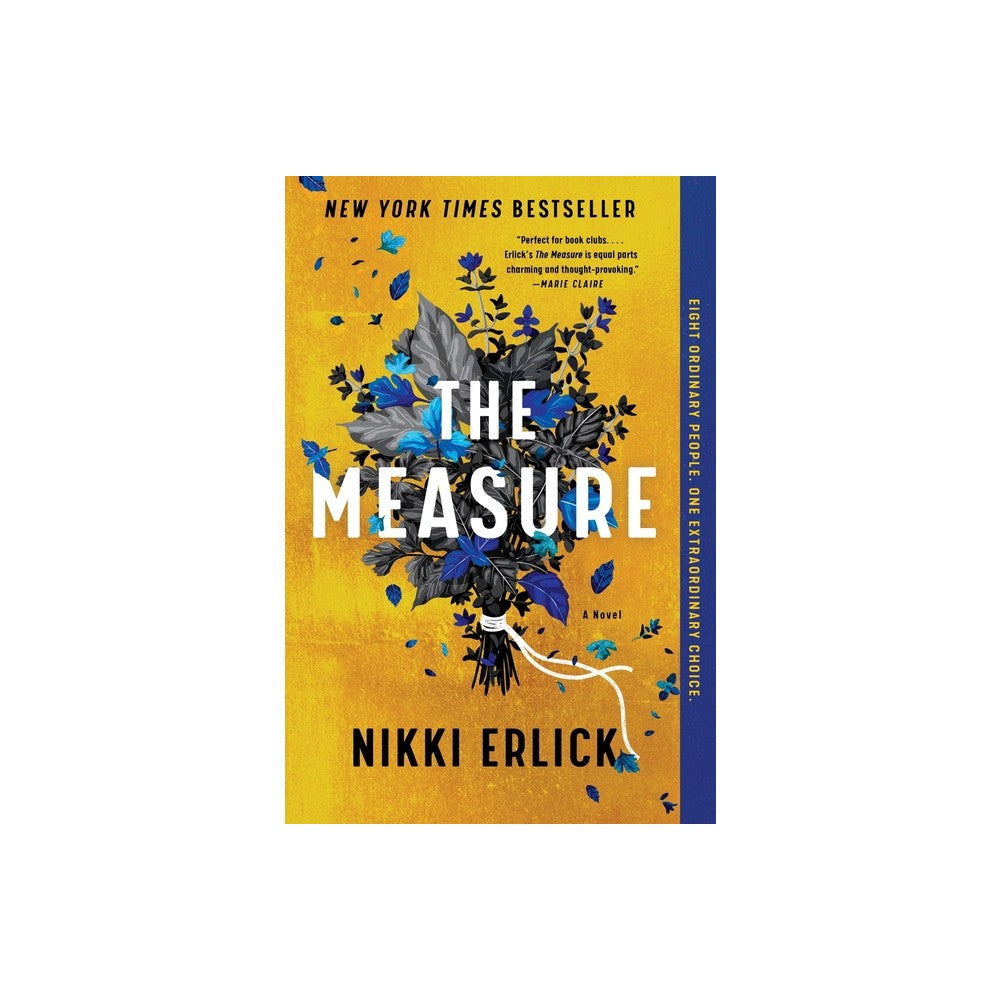 The Measure - by Nikki Erlick (Paperback)
