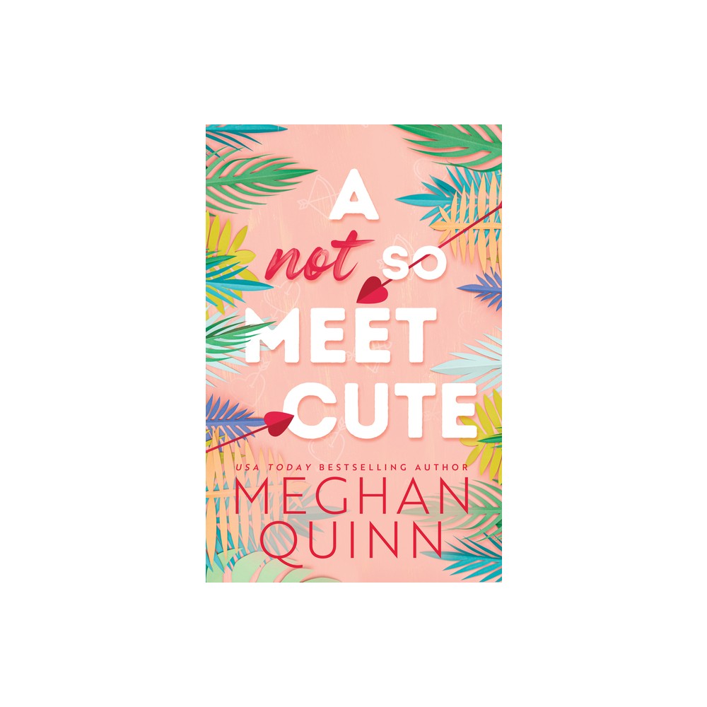 A Not So Meet Cute - (Cane Brothers) by Meghan Quinn (Paperback)